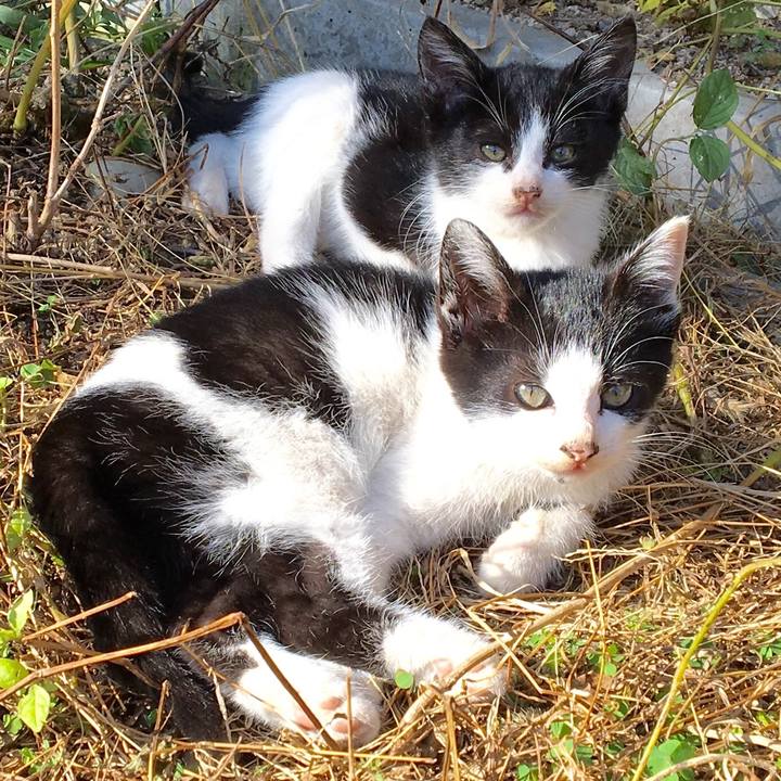 8619785f c647 4f2e 95c0 51ecf29b6ef3