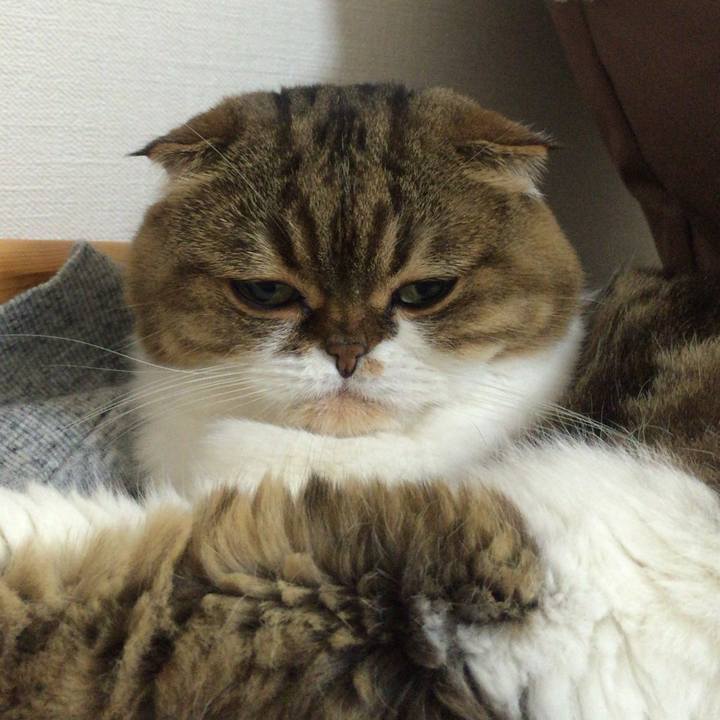 861989ee 5d03 452d 9f9a 54baf3cd272e