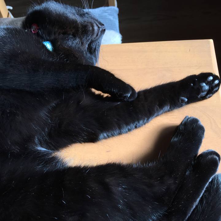 8619e5cf 684c 4ed9 89dd d65cd74e8361