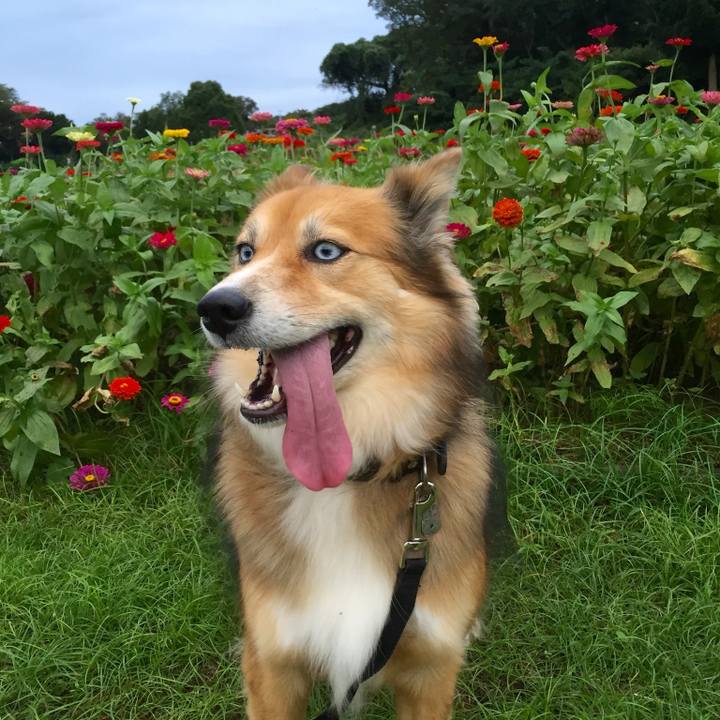 861a32a3 b699 4b27 868e f7c0b1823f1a