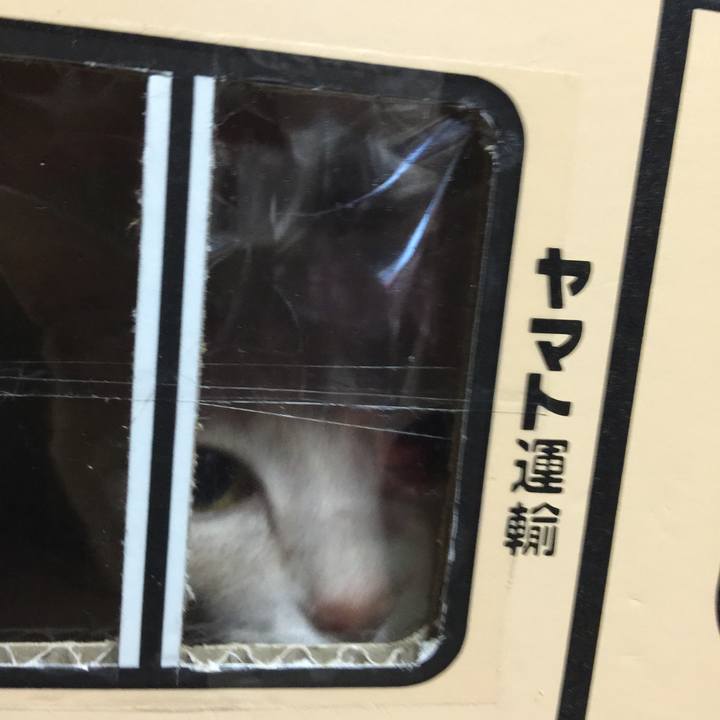 861aa181 c25a 41f0 92c7 774623518de9