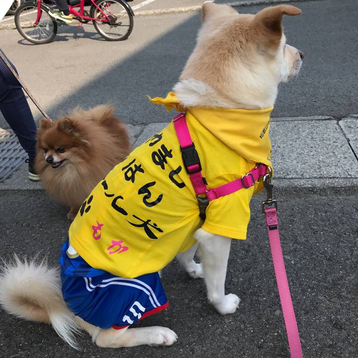 861b64fe 5644 4fb3 9ce3 3944f9632c58