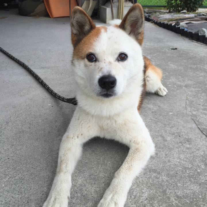 861b6731 207b 4ebc a7ba d315104da02c