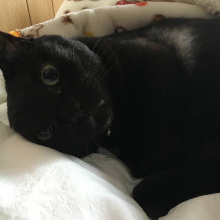 861be9d9 c23e 45c2 b256 42a4d74de8fd