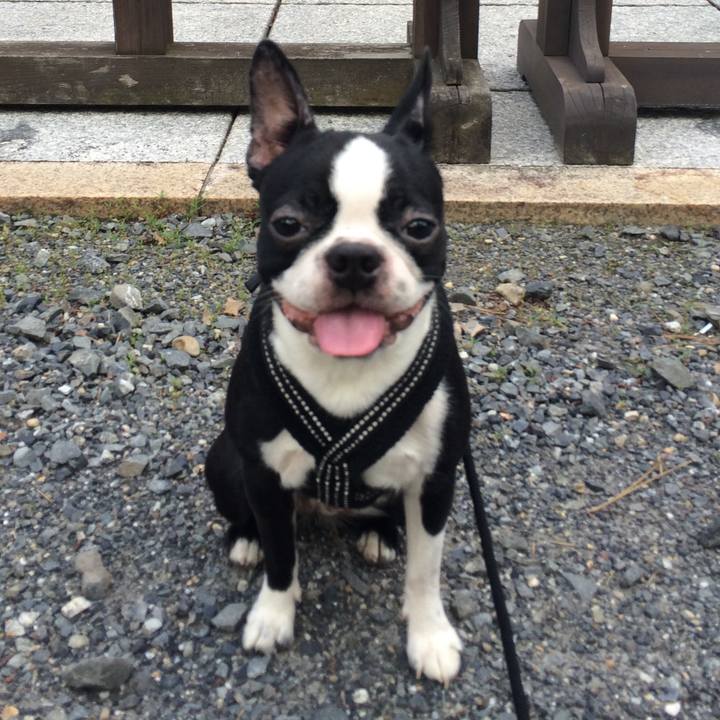 861c4d30 da4b 4b79 ac74 7147e819f42a