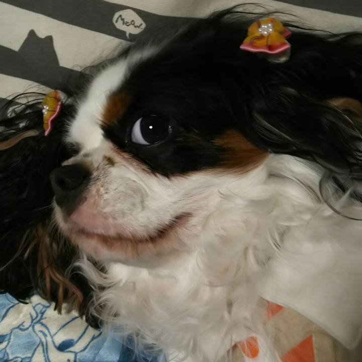 861c5270 dc60 4809 861e ddab8773cb2a