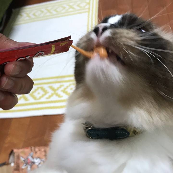 861c5767 c275 4949 bbd7 4df3b5774bd9