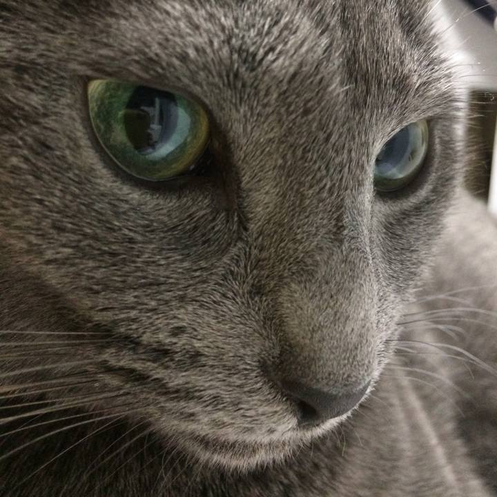 861cc5ae d92b 41f5 a0db 6e9243647765