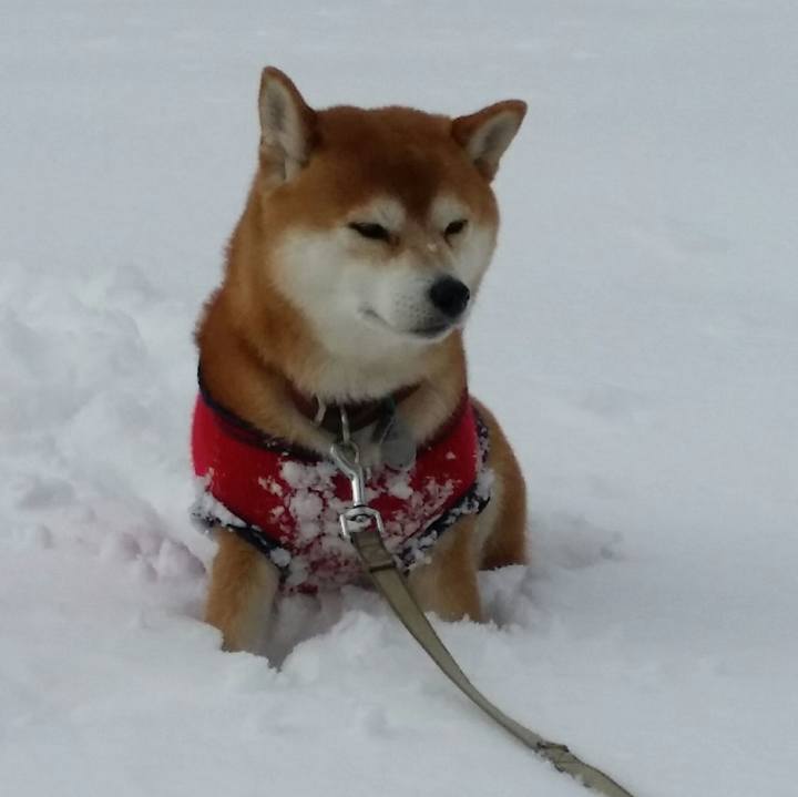 861cec25 f64d 447d b185 454b63a1205e