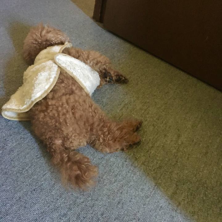 861d74ad 4768 4edc 8330 83ae4ed3d0fd