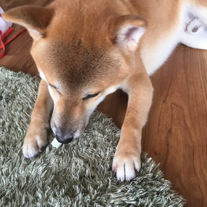 861d9287 3c19 4ce1 839e 9ef4a02f1f37