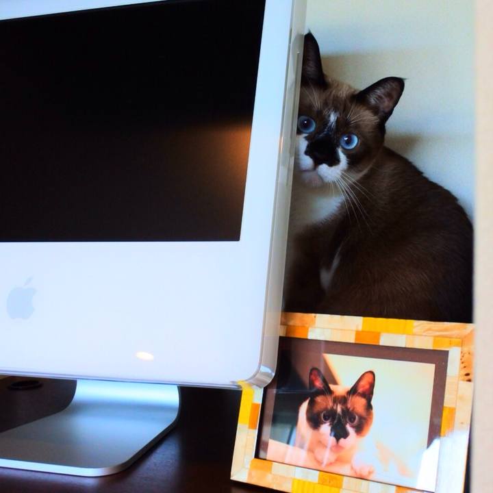 861da7da 0f0b 4d1e bf7e 560e24491932