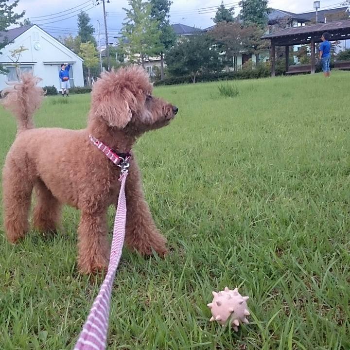 861dc0d5 d26b 4f6f 8bda 0c3025c385bb