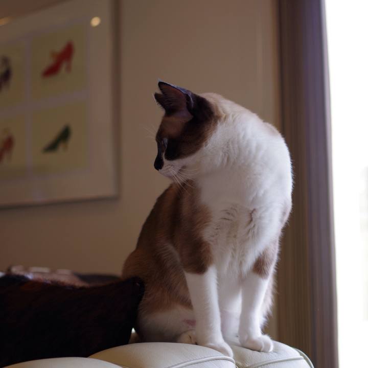 861dca47 2fdc 4b42 8b2a a768d18bde81