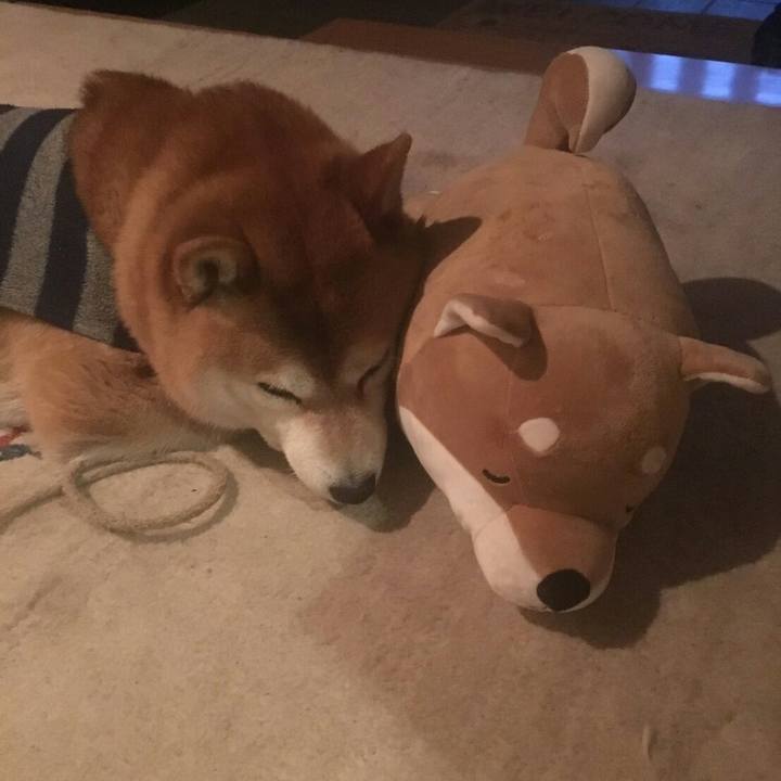 861e0fc3 1a2a 407e 9251 eff542f981cd