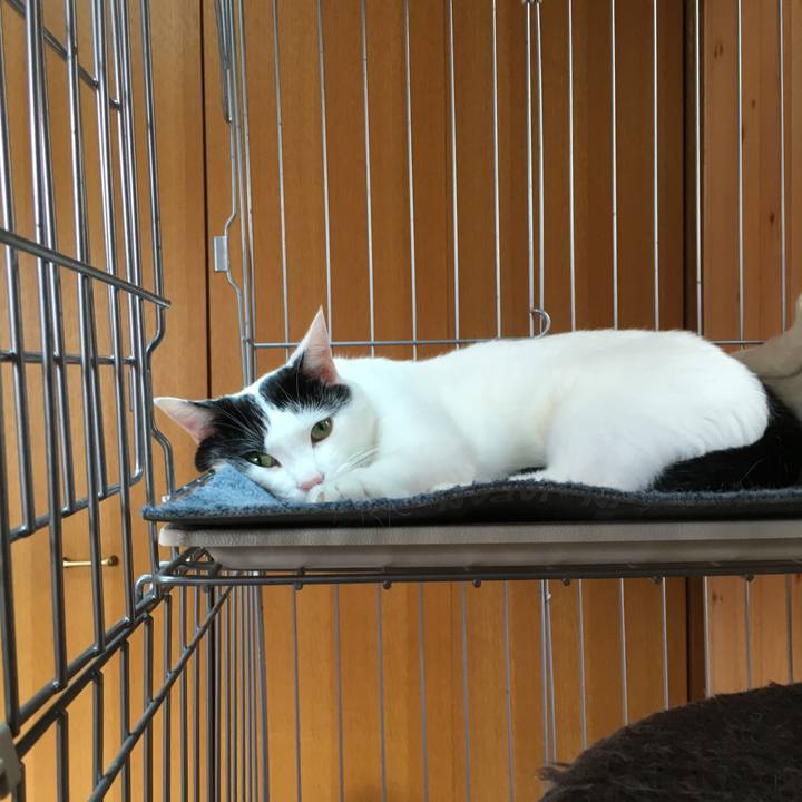 861e5ef2 c244 47a9 b614 75bb92abf250