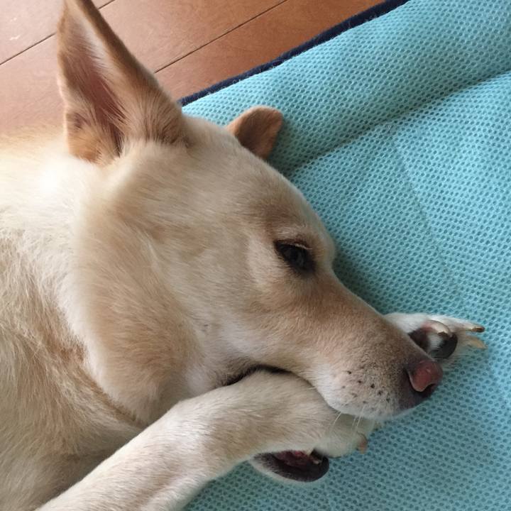 861e91b7 942b 4ed3 abe6 c78b3172cb1b