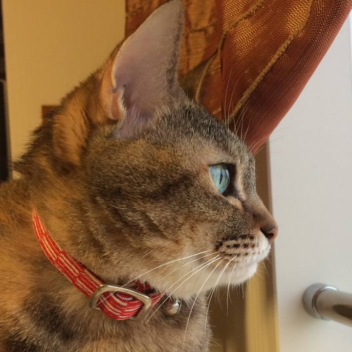 861ebc2b c42a 4a26 8c6d bb0ff4567483