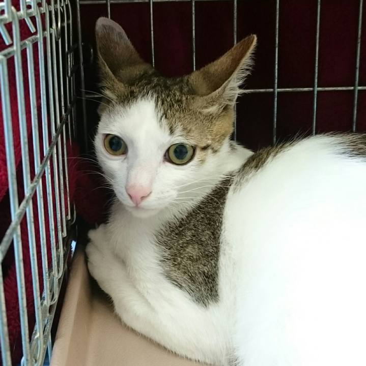 861fe506 437f 4f6f b1d2 469fe95019fd