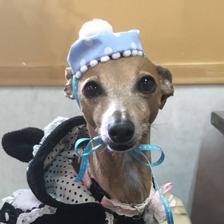 862055a5 8b02 4dc2 b36f 4dafb2be6ccc