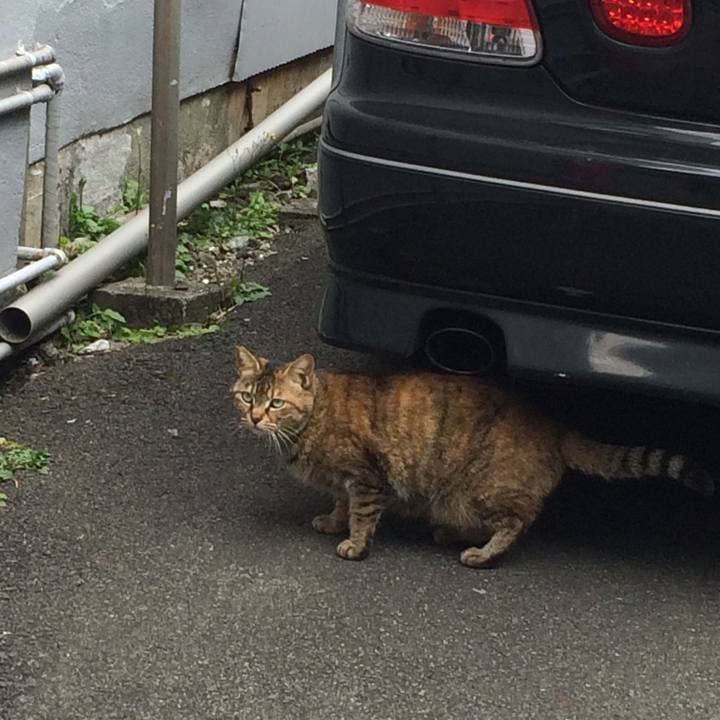 8620b377 a893 461f a24e fbd7e714d533