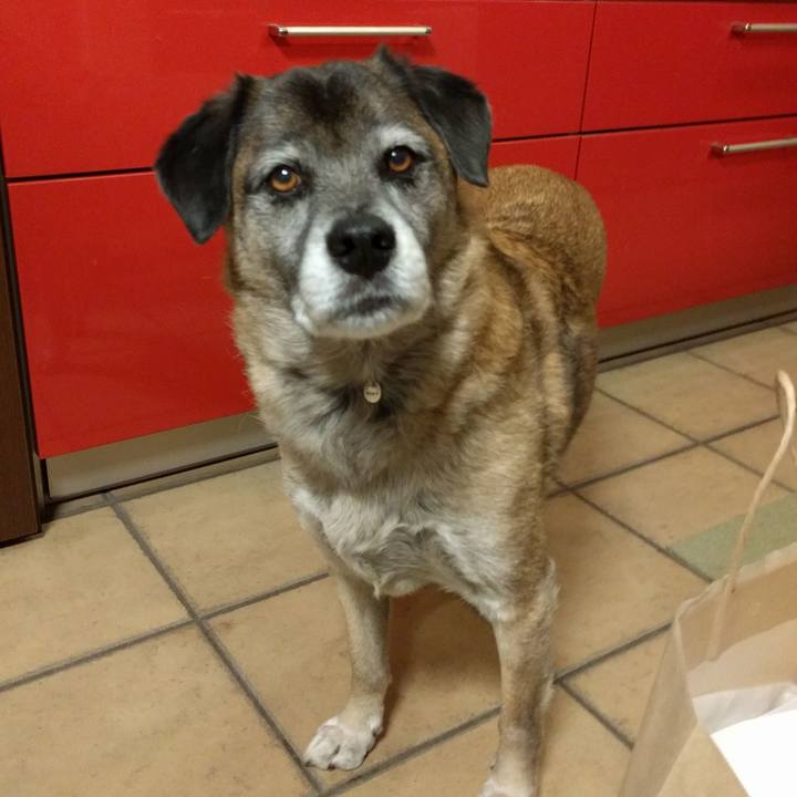 86212b9c 0d54 4b27 a6ff 29295467f694