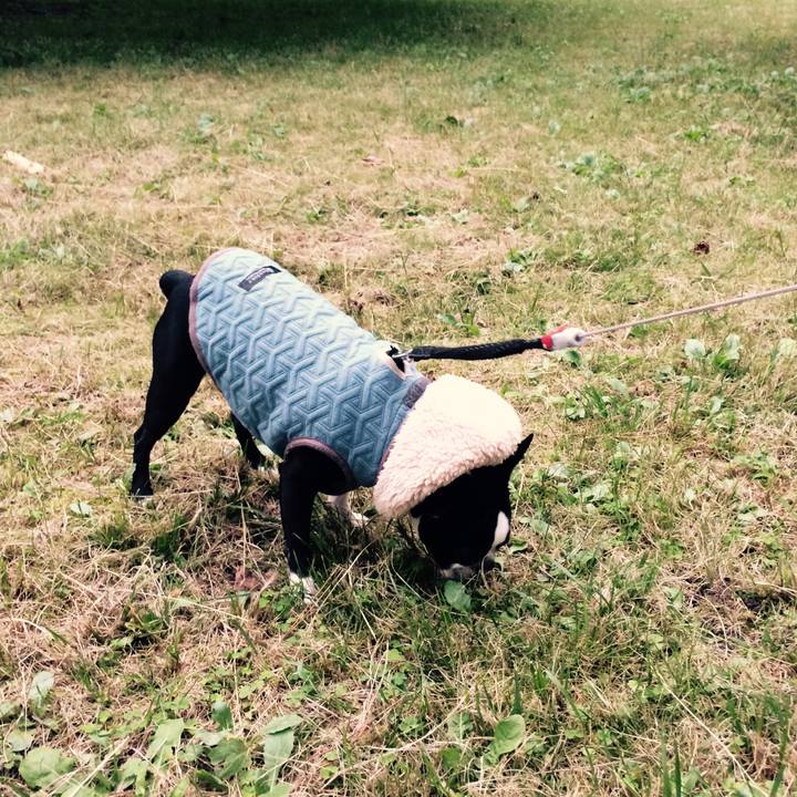 862153ff 85c2 46ef a3e7 dcd5066878bf