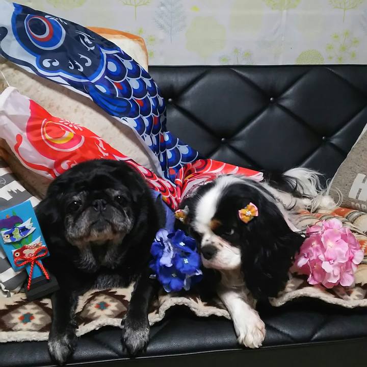 862199c5 0b18 4c13 8650 5e420c123f8e