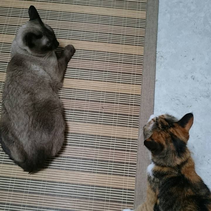 86226919 ba97 4d7d 8fac 2f9fc89e5726