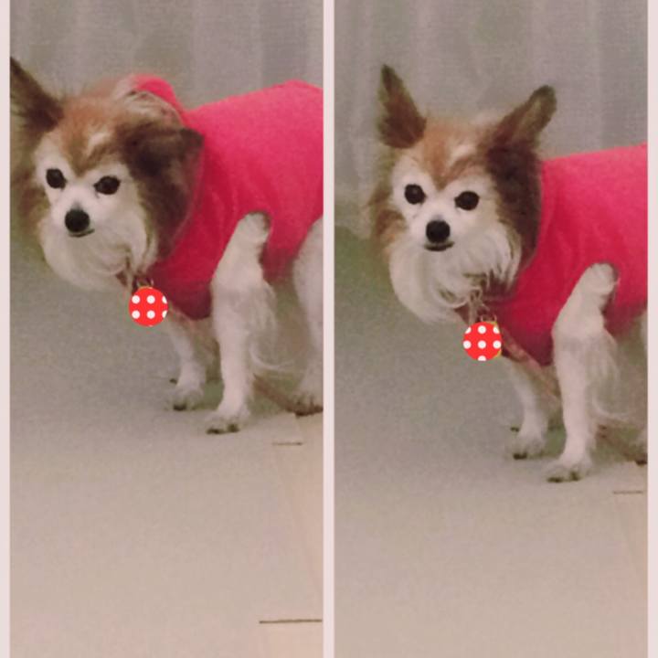 862286bd 96f7 49d4 b799 94b2f40bebfd