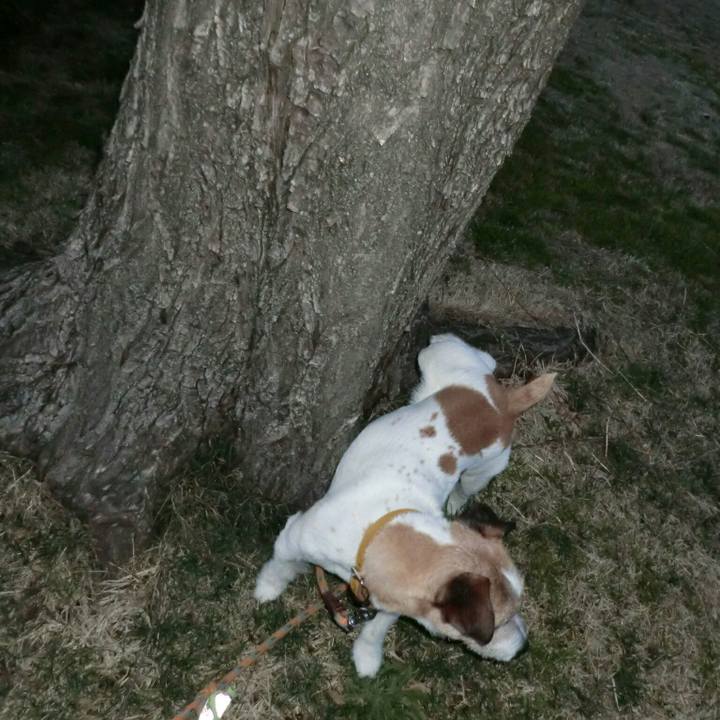 8622adea 857c 4046 a5c4 bf260524f4ba