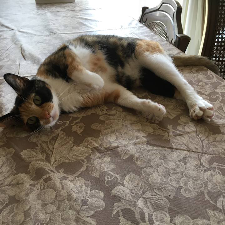 8622c40a 3dd1 40ab 92c2 5087d01d36b1