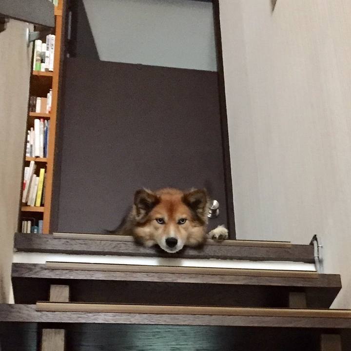 8622cfa2 2c27 4d36 8018 6822186533c8