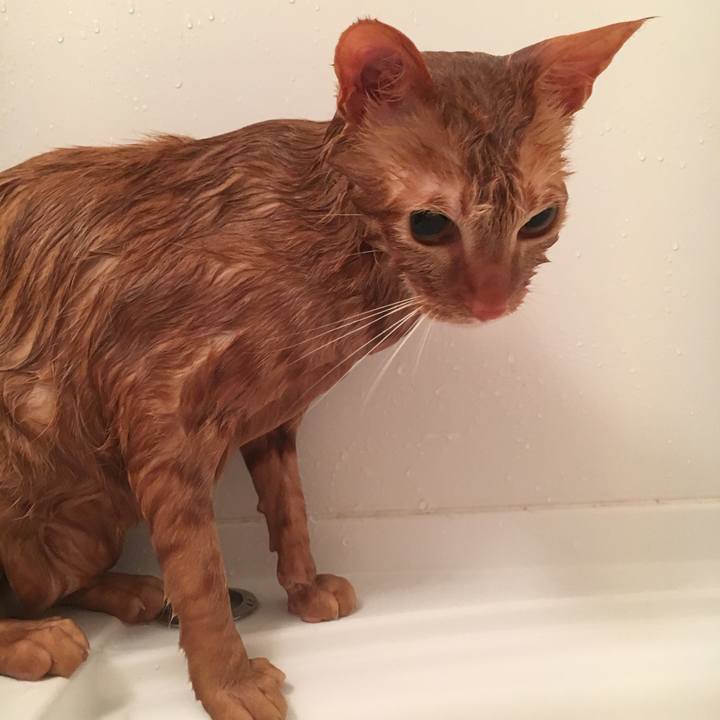 86230469 746c 4b0b a14b 1b5d527feeec