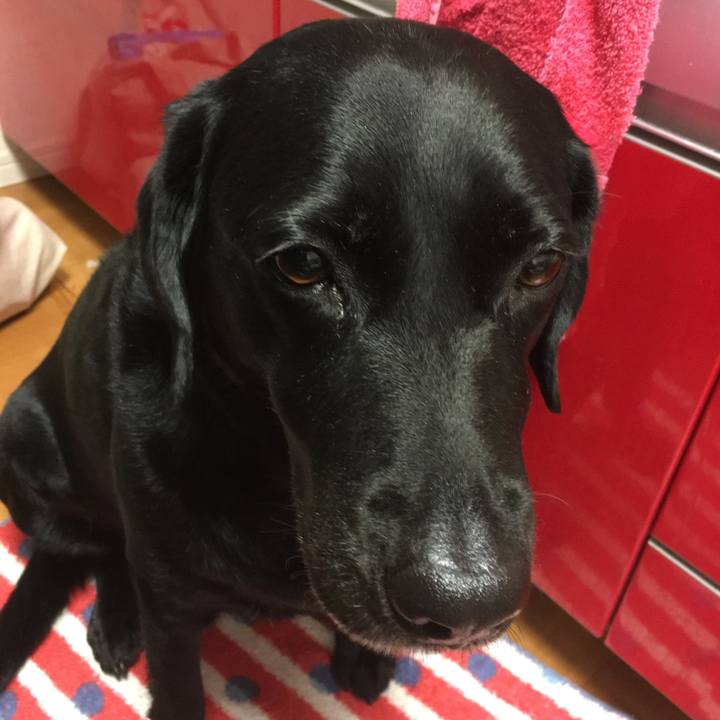 86233352 876c 495b 95f9 ba60561175c6