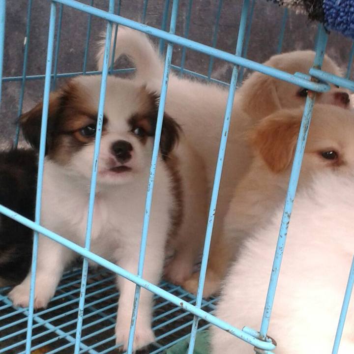 86237036 2521 4722 8c55 3e74d08d9ef8