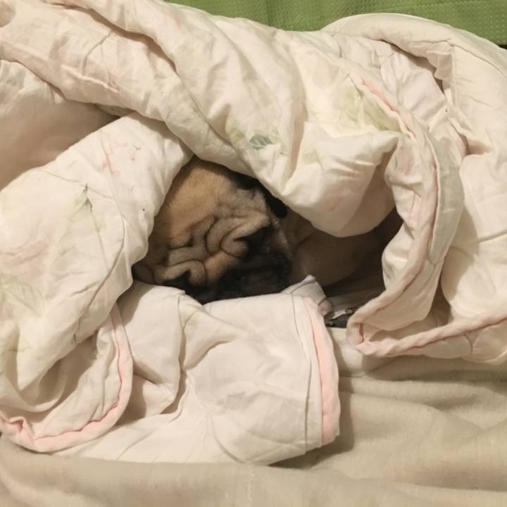 8623c511 2073 4b0a ac74 5faf1e5bd3e4