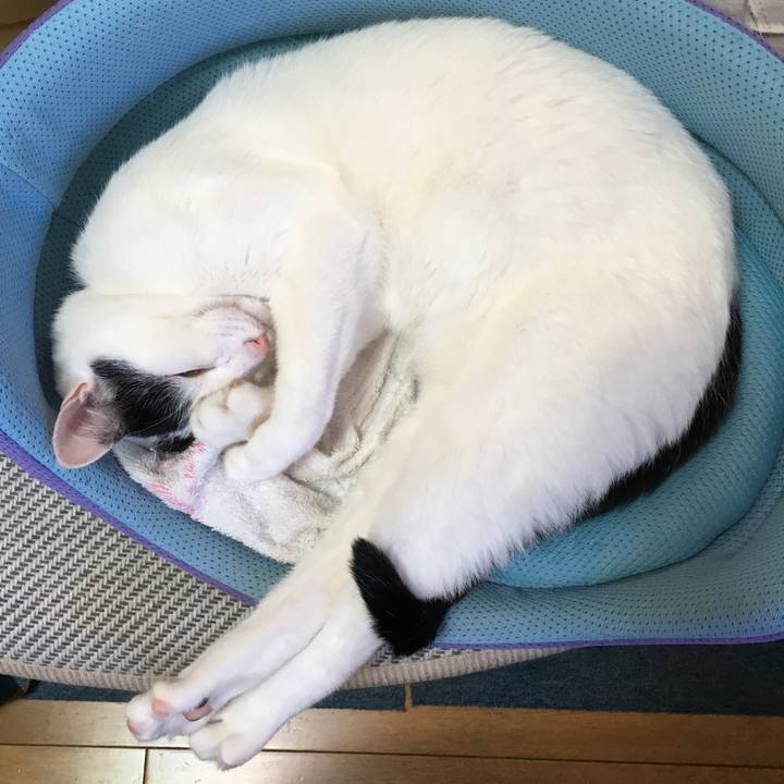 8623ea4f 34c7 4397 beec 25a748f063a1