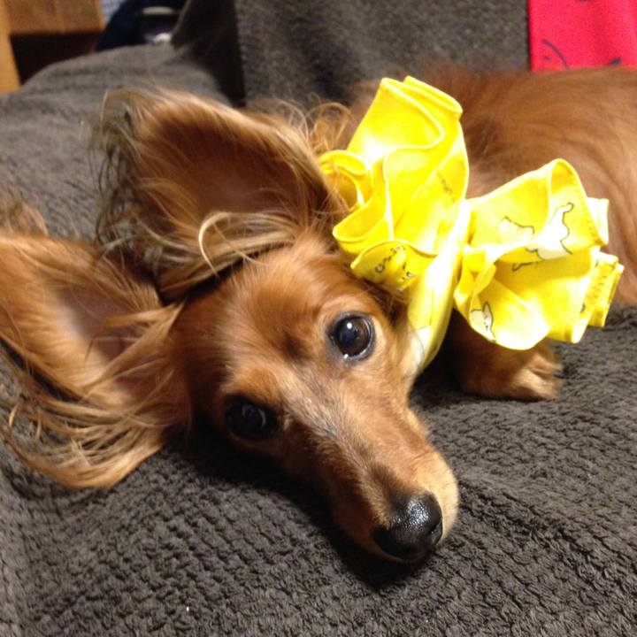 8624157e 0293 4940 874f 5d4a80b0b451