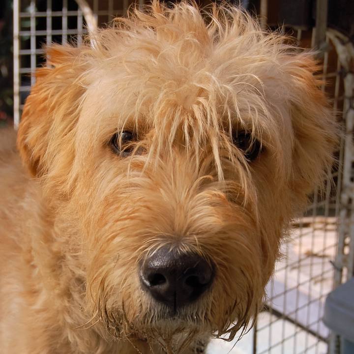 862421cb fd87 4325 bcb6 89e8443407ca