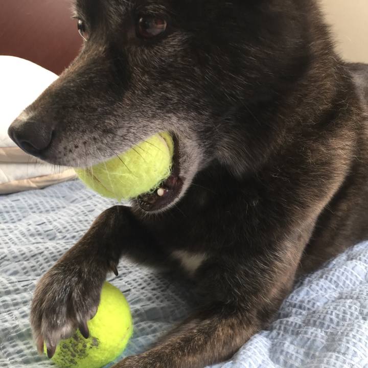 8624aeaf 3501 4f4e 99df ececc34281b2