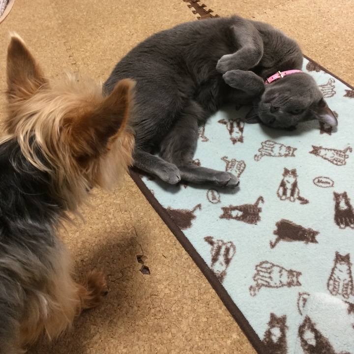 8626234b 9710 47fb 80c0 3f7a5988f96c