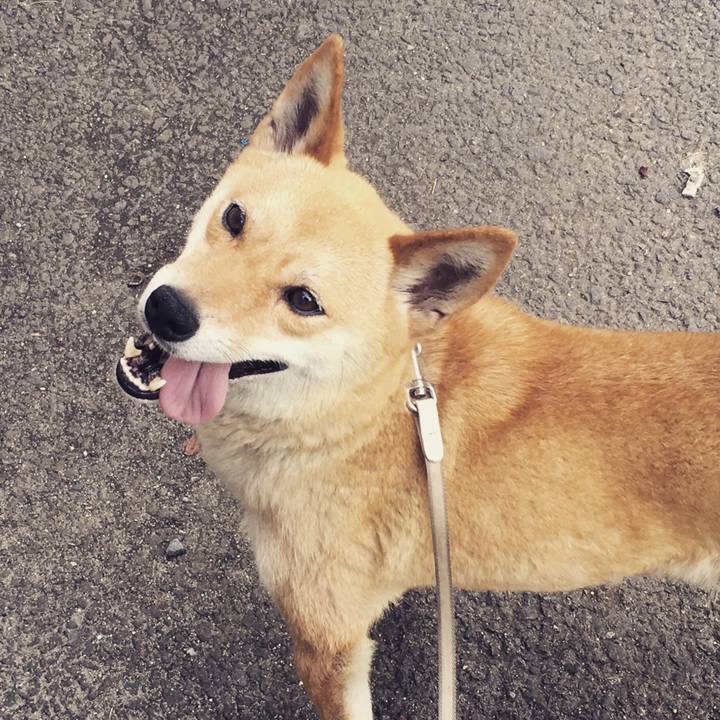 8626391d d317 4047 a818 9d1915c0b56c