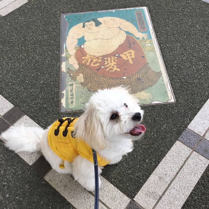 8626c918 ee81 4097 893e 23cd358887e1