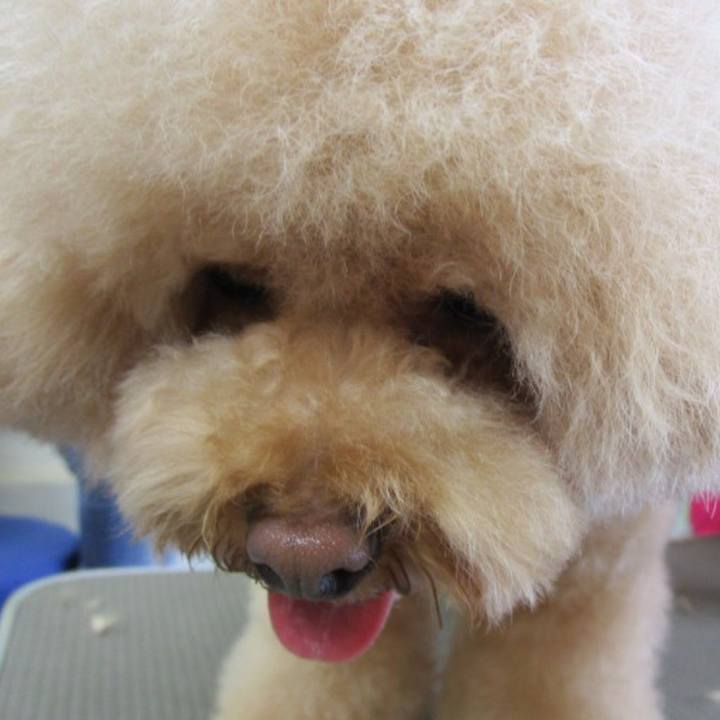 8628159c 8fb7 47e2 819c f6fc64bae25d