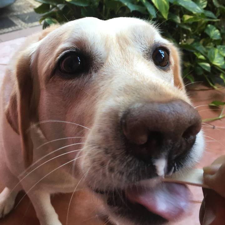 86288db8 a0c6 406c b6da 1dea6f795f0a