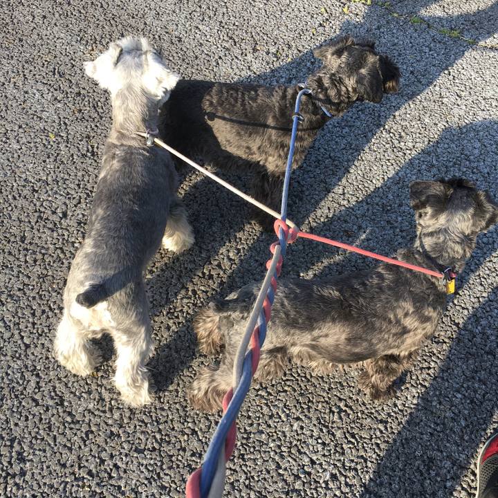 862938c5 1fad 4296 8c89 2912429d8653