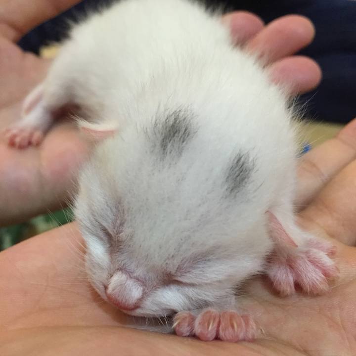 8629413f 8f8c 4777 9d06 1bccd99578e2