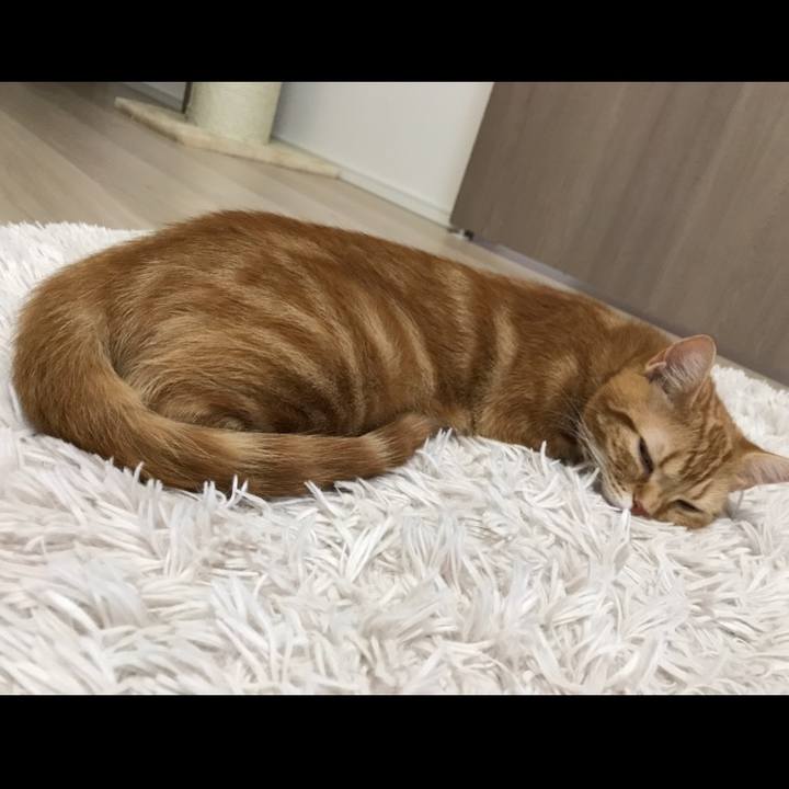 8629b402 fbf6 4597 b7d5 742ad65e0bb9