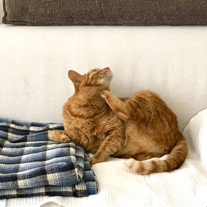 862a43c4 5cdd 4cc6 aea2 f2f00d46cbb5